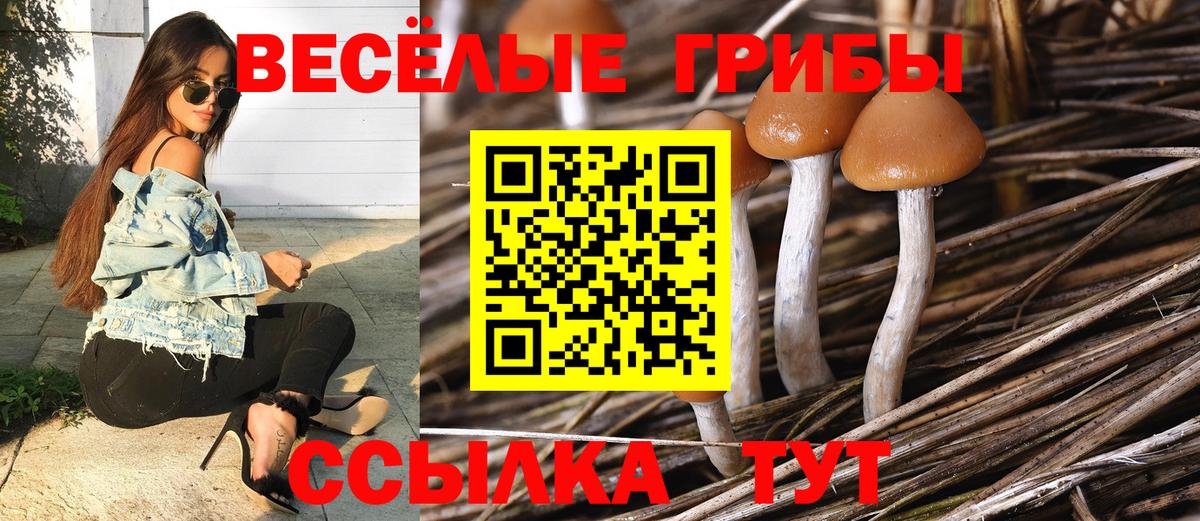 Волоколамск  Псилоцибиновые грибы Magic Shrooms  Вход с VPN 